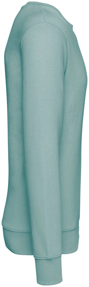 Sudadera con capucha unisex: Calidez sostenible en cada puntada - Sudadera unisex - 350gsm - NS400