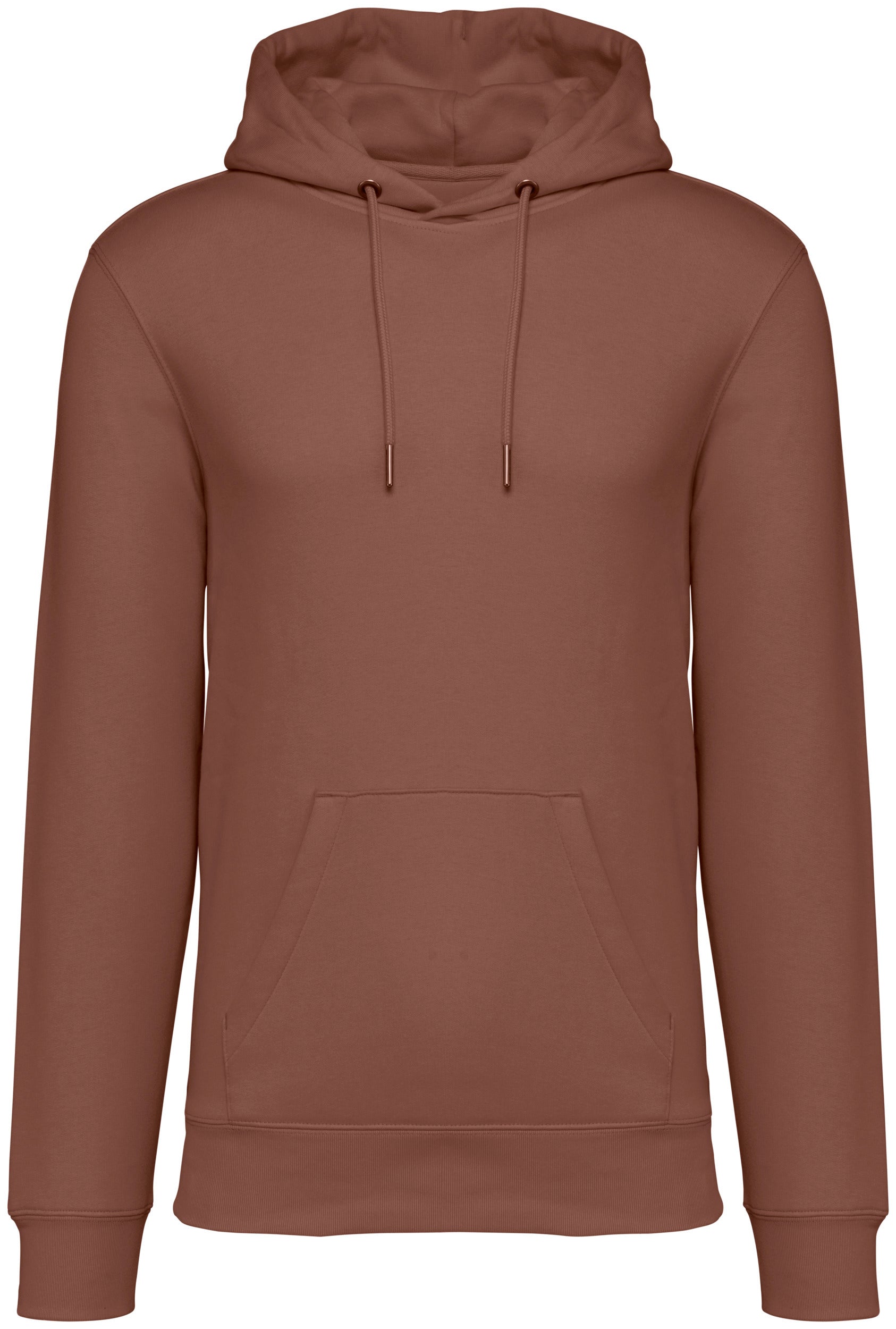 Unisex Hooded Sweatshirt - 350gsm - NS401