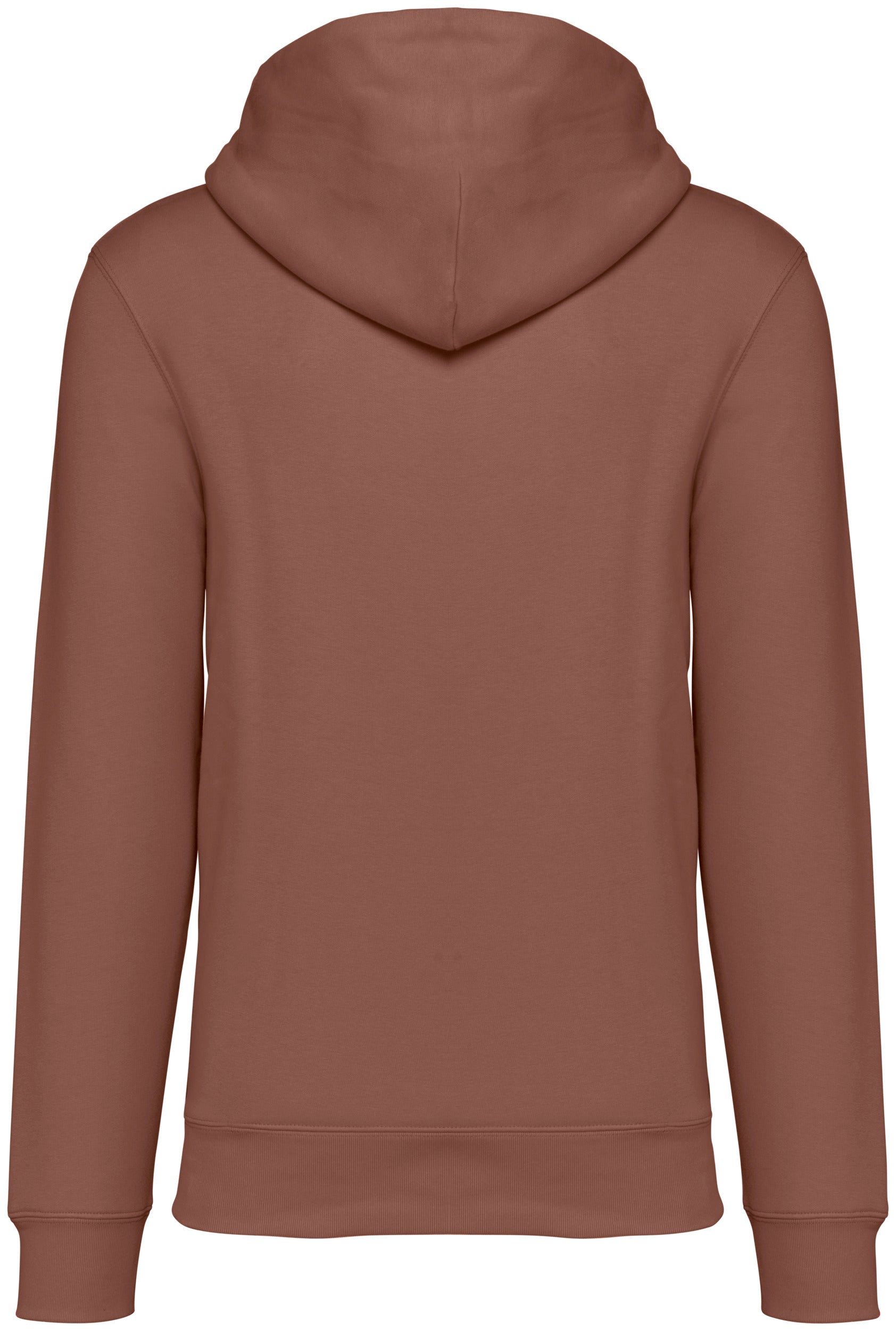 Unisex Hooded Sweatshirt - 350gsm - NS401