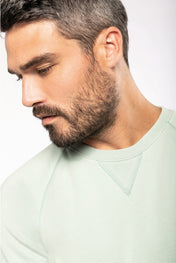 Men's Organic Cotton Crew Neck Raglan Sleeve Sweatshirt - K480