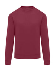 Kids’ Crew Neck Sweatshirt – Recycled Fabric | 20052