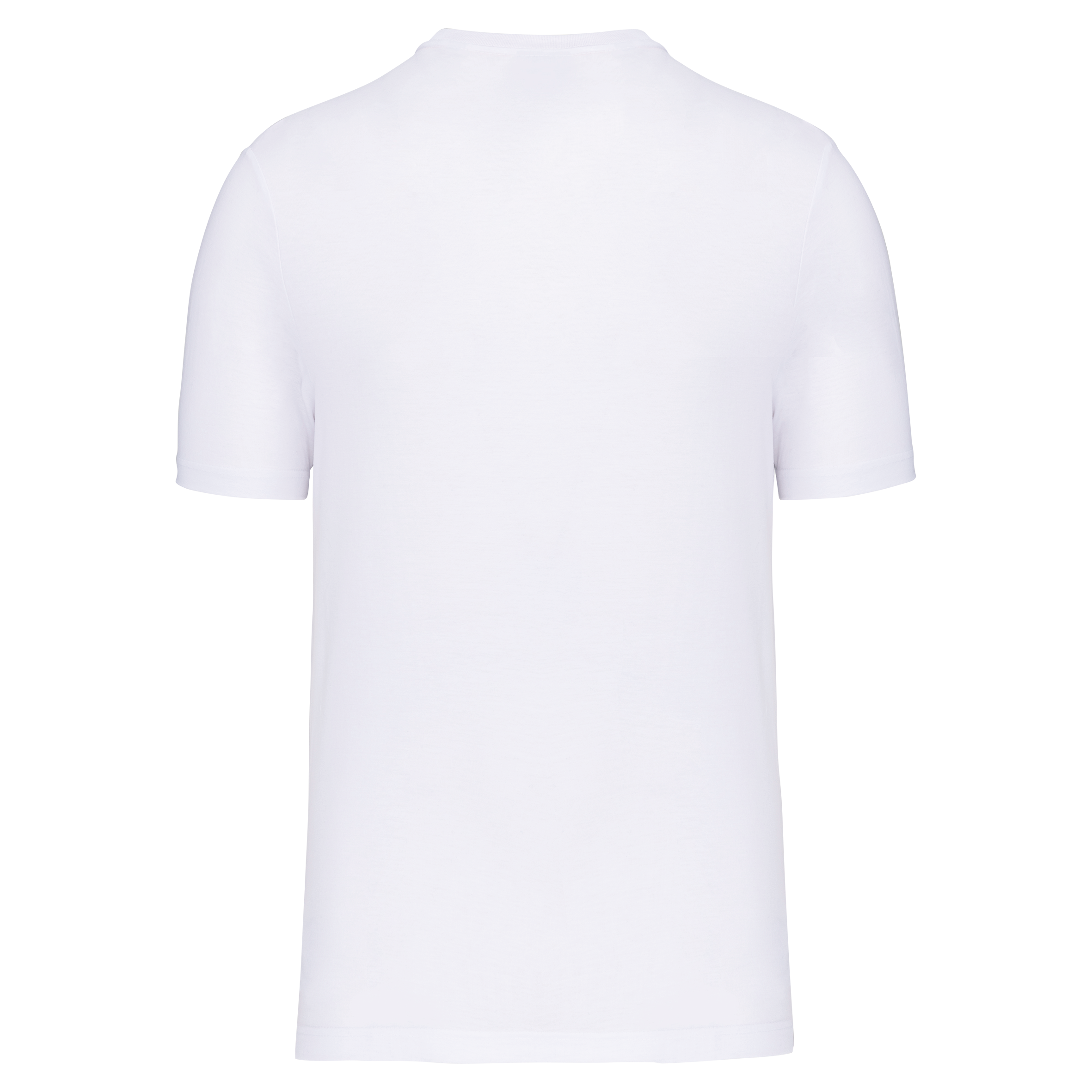 Herren Umweltfreundliches Rundhals-T-Shirt - 160 g/m² - WK302
