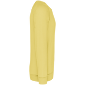 Heren Sweatshirt van Biologisch Katoen met Ronde Hals en Raglanmouwen - K480