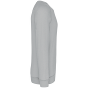 Heren Sweatshirt van Biologisch Katoen met Ronde Hals en Raglanmouwen - K480