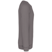 Heren Sweatshirt van Biologisch Katoen met Ronde Hals en Raglanmouwen - K480