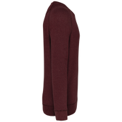 Heren Sweatshirt van Biologisch Katoen met Ronde Hals en Raglanmouwen - K480