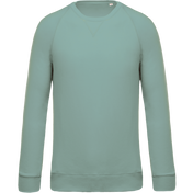 Heren Sweatshirt van Biologisch Katoen met Ronde Hals en Raglanmouwen - K480
