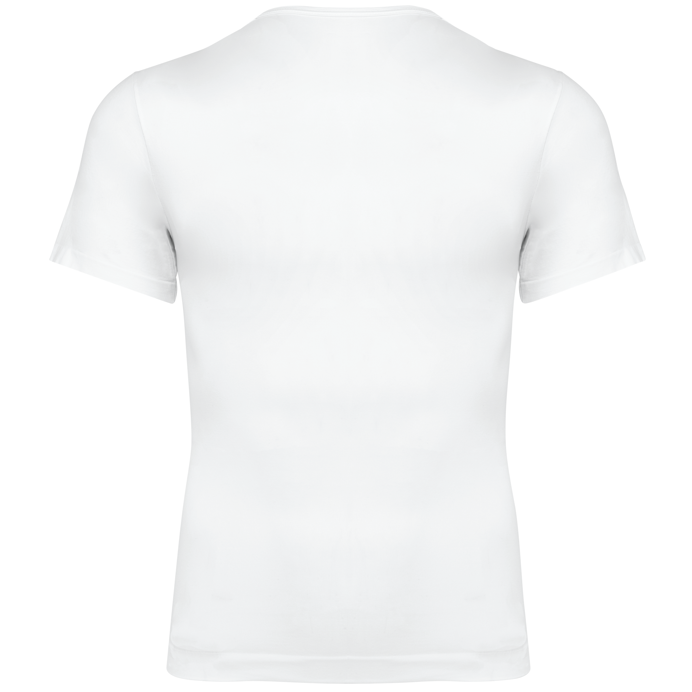 Second Skin Heren Milieuvriendelijk Korte Mouwen T-shirt - K3044