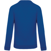 Kinderen's Organische Raglanmouw Sweater - K490