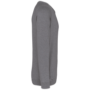 Heren Sweatshirt van Biologisch Katoen met Ronde Hals en Raglanmouwen - K480