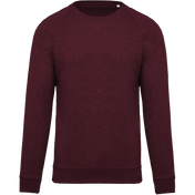 Heren Sweatshirt van Biologisch Katoen met Ronde Hals en Raglanmouwen - K480