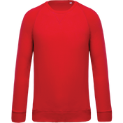 Heren Sweatshirt van Biologisch Katoen met Ronde Hals en Raglanmouwen - K480