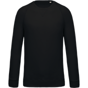 Heren Sweatshirt van Biologisch Katoen met Ronde Hals en Raglanmouwen - K480