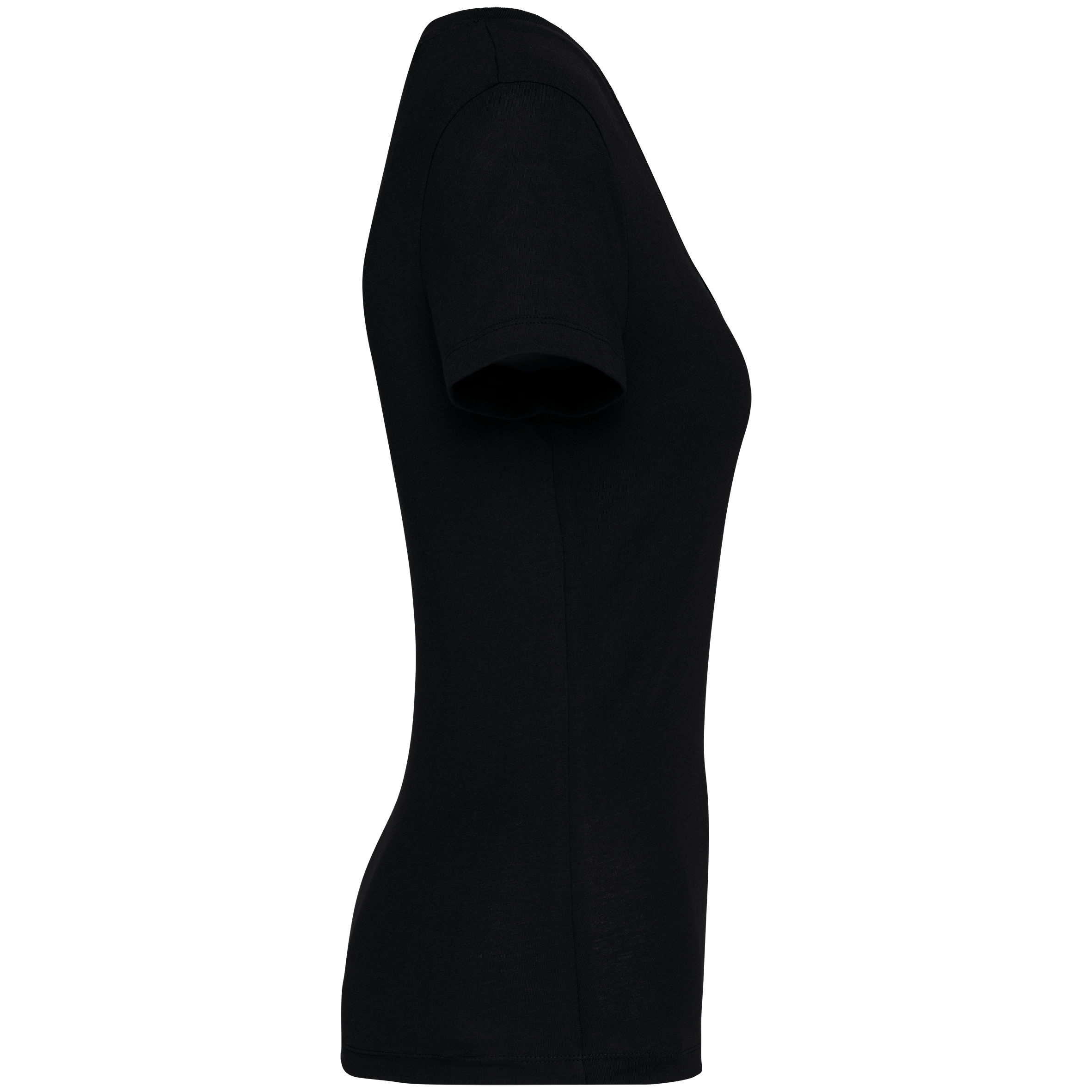 Native Spirit NS334 - Eco-friendly Ladies’ V-neck T-shirt