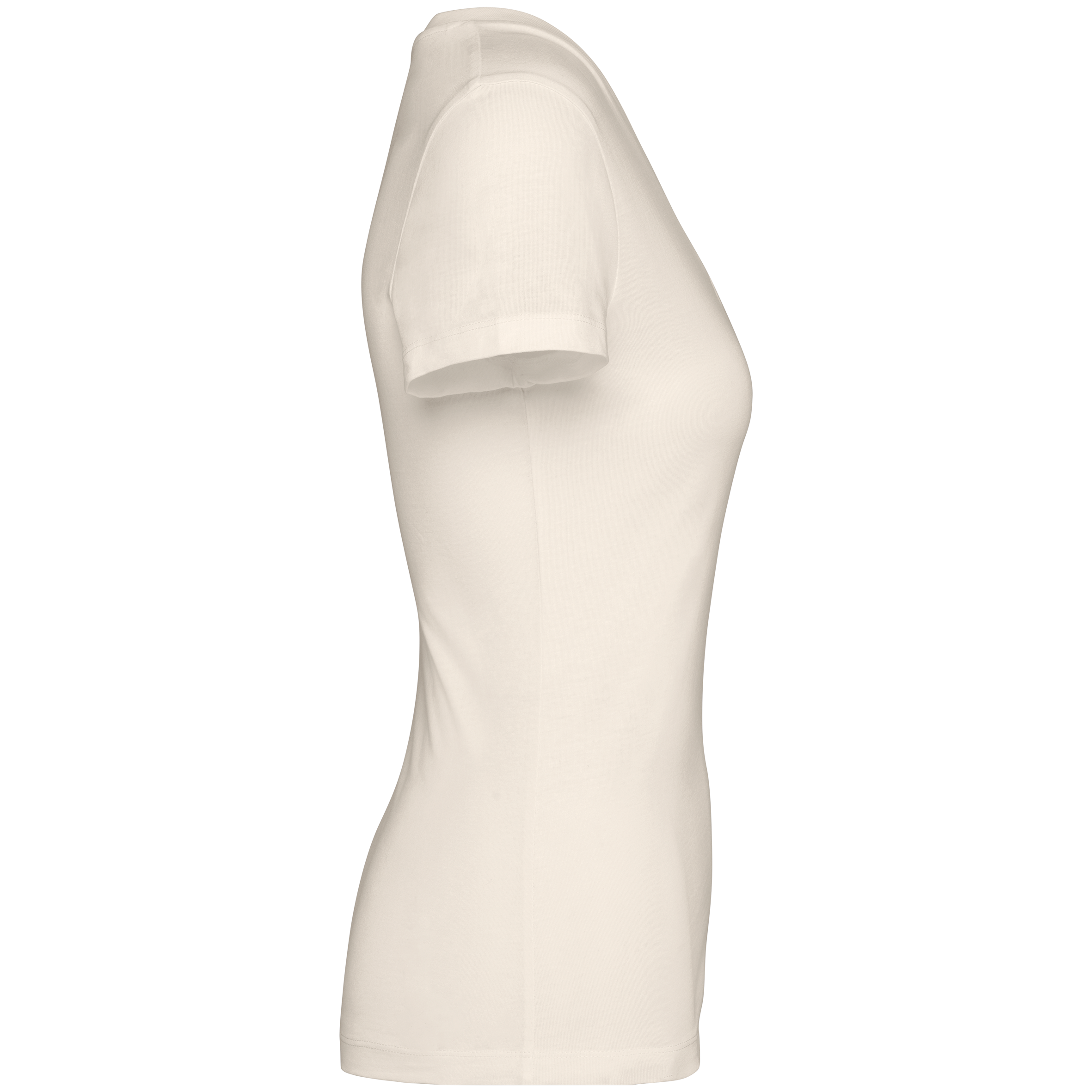 Native Spirit NS334 - Eco-friendly Ladies’ V-neck T-shirt