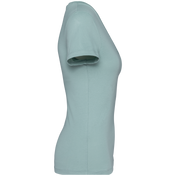 Native Spirit NS334 - Eco-friendly Ladies’ V-neck T-shirt