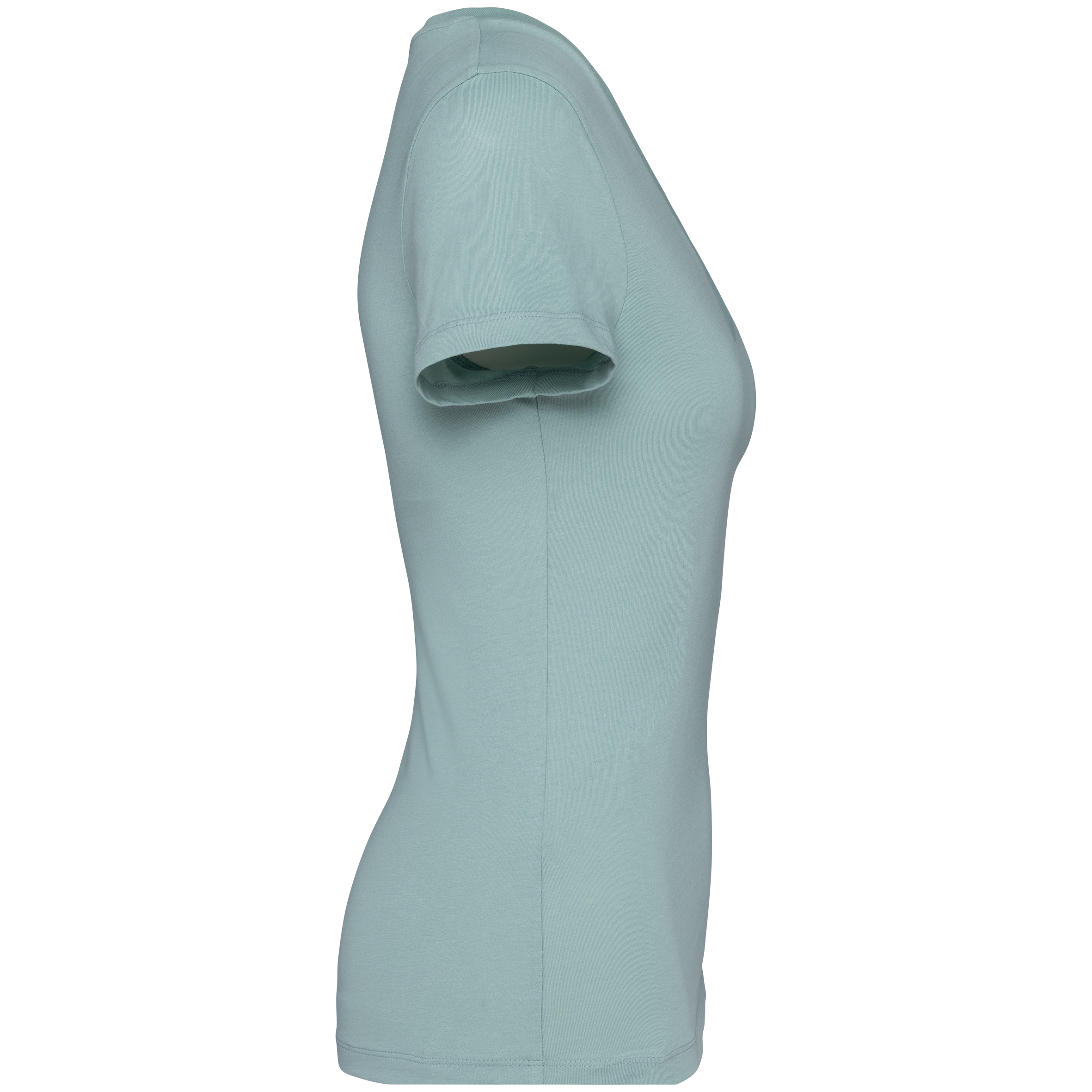 Native Spirit NS334 - Eco-friendly Ladies’ V-neck T-shirt