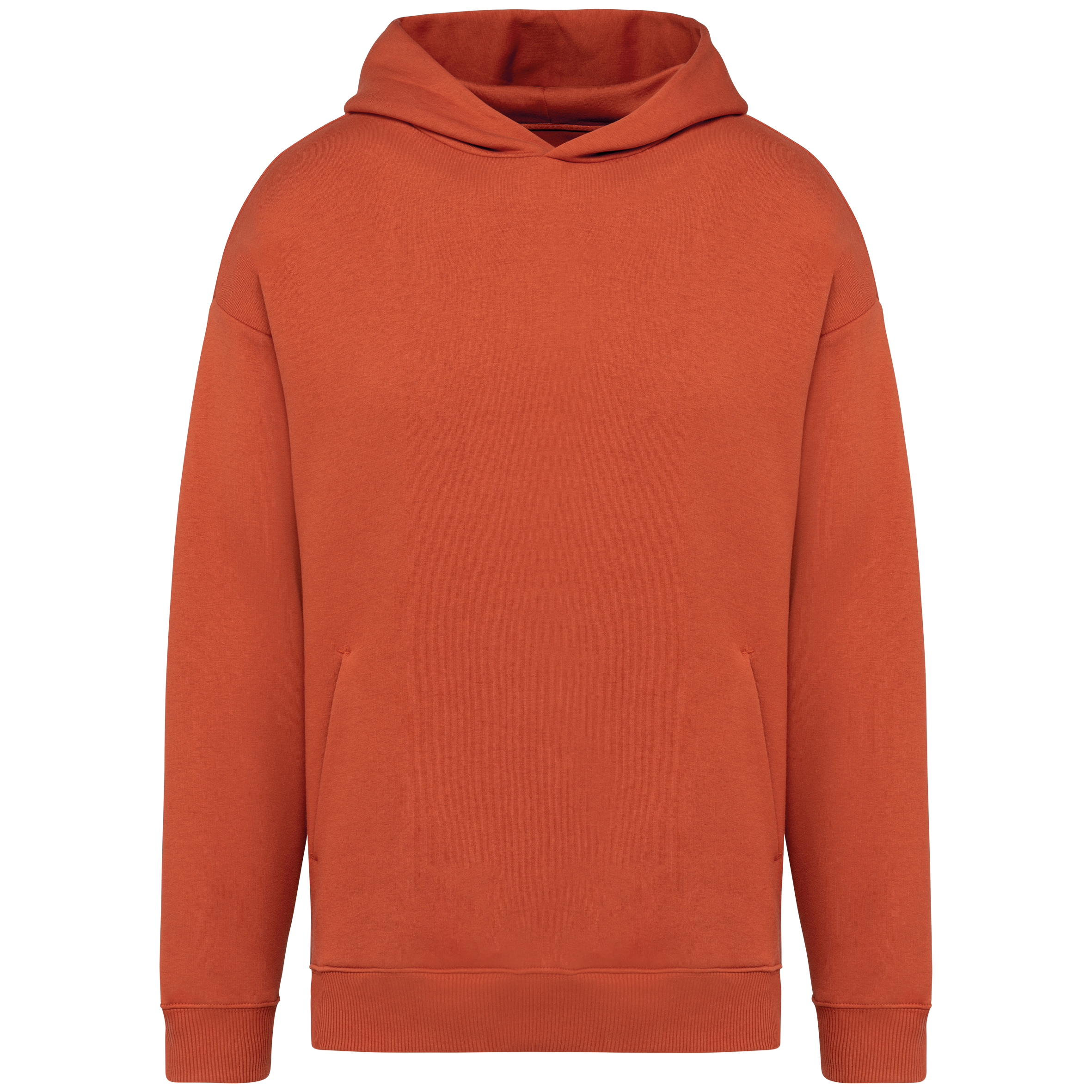 Sweat à capuche unisexe Oversized - 300gsm - NS408