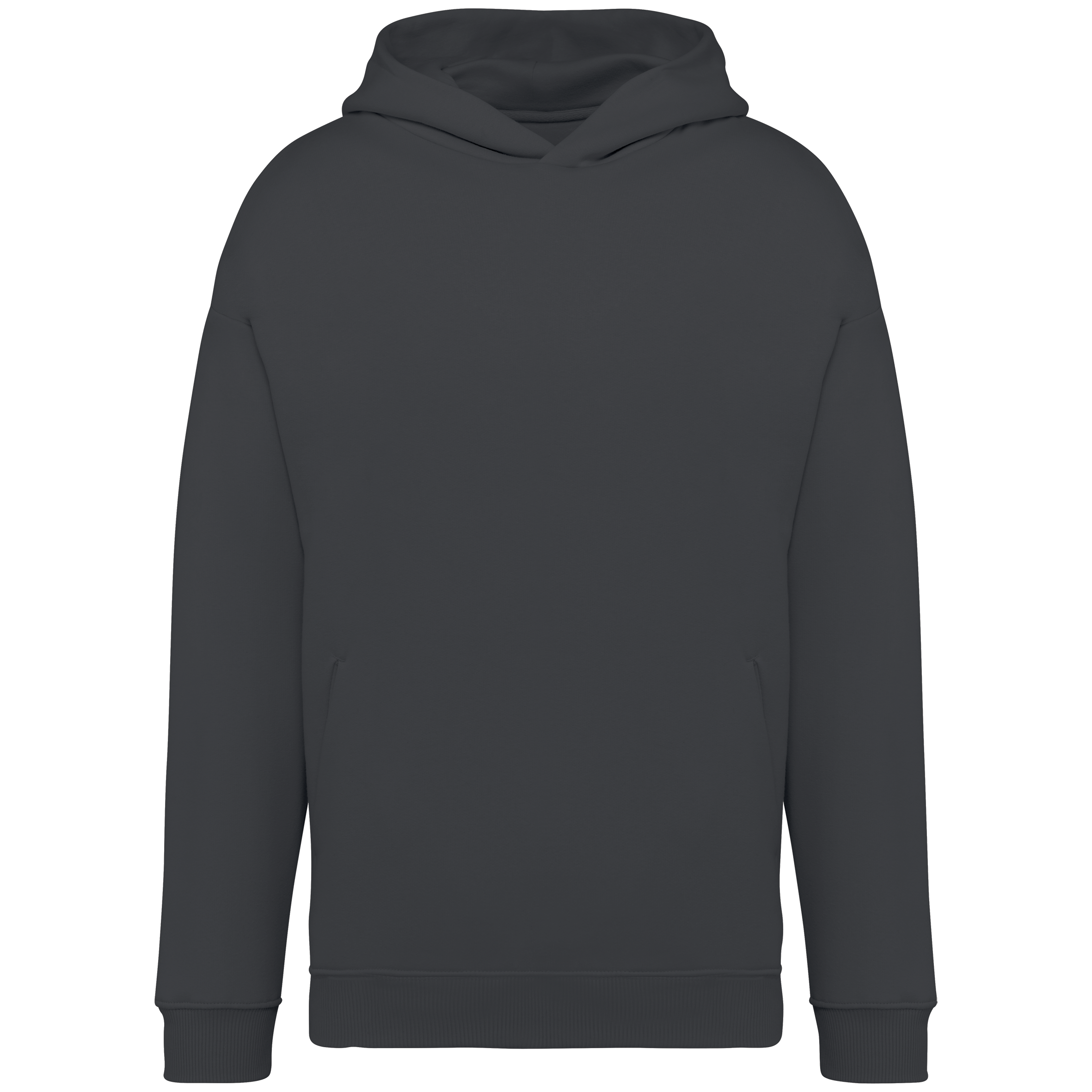 Sweat à capuche unisexe Oversized - 300gsm - NS408