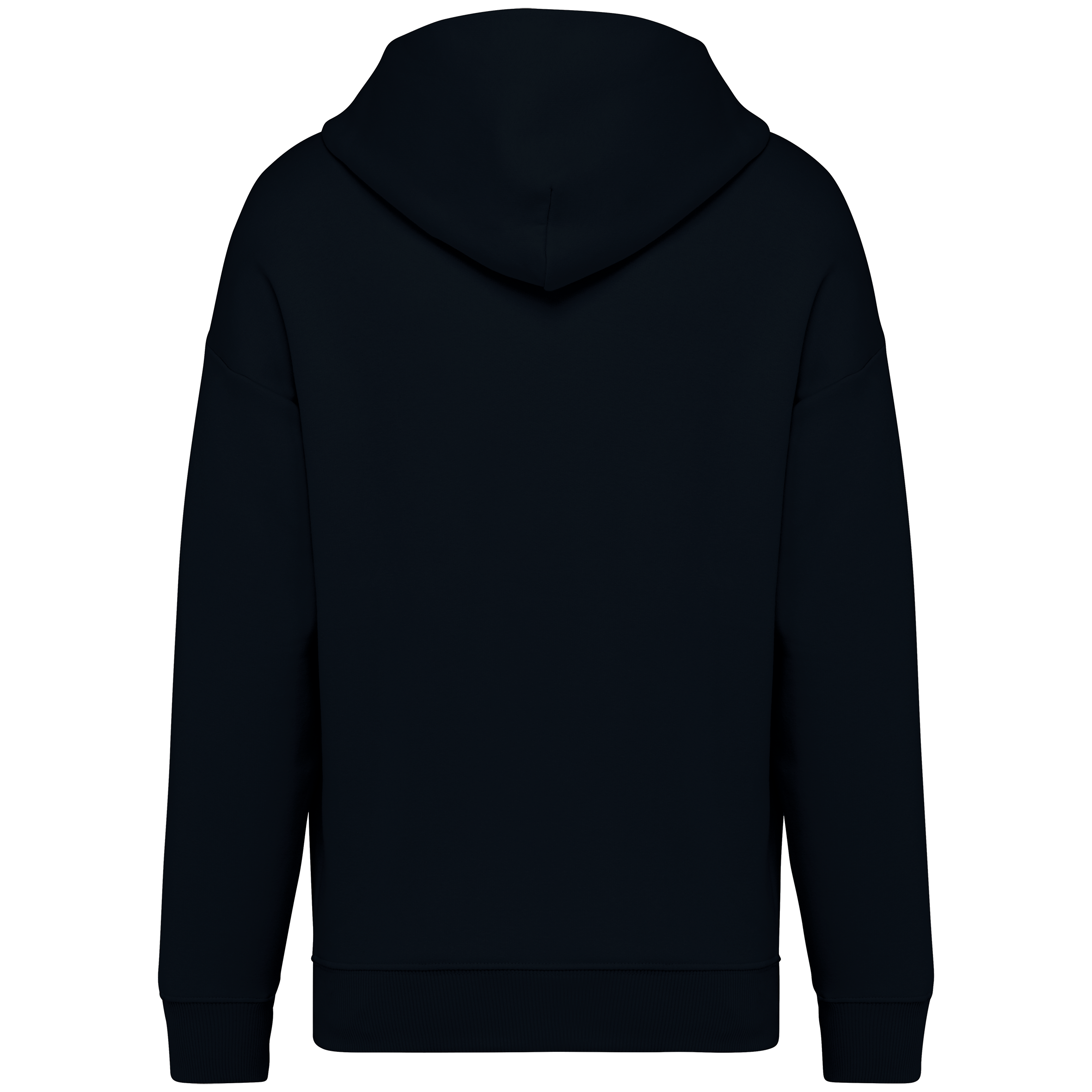 Sweat à capuche unisexe Oversized - 300gsm - NS408