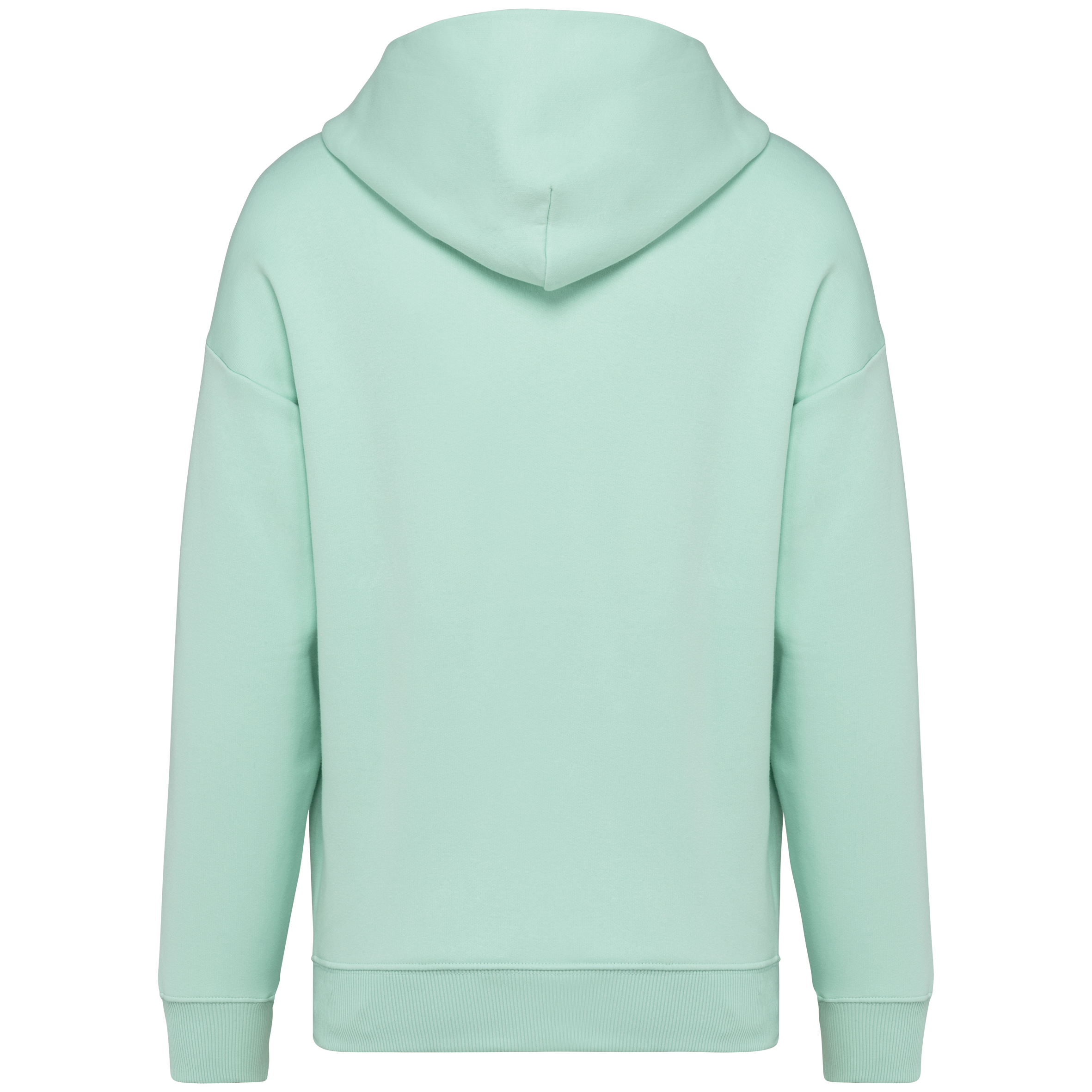 Sweat à capuche unisexe Oversized - 300gsm - NS408