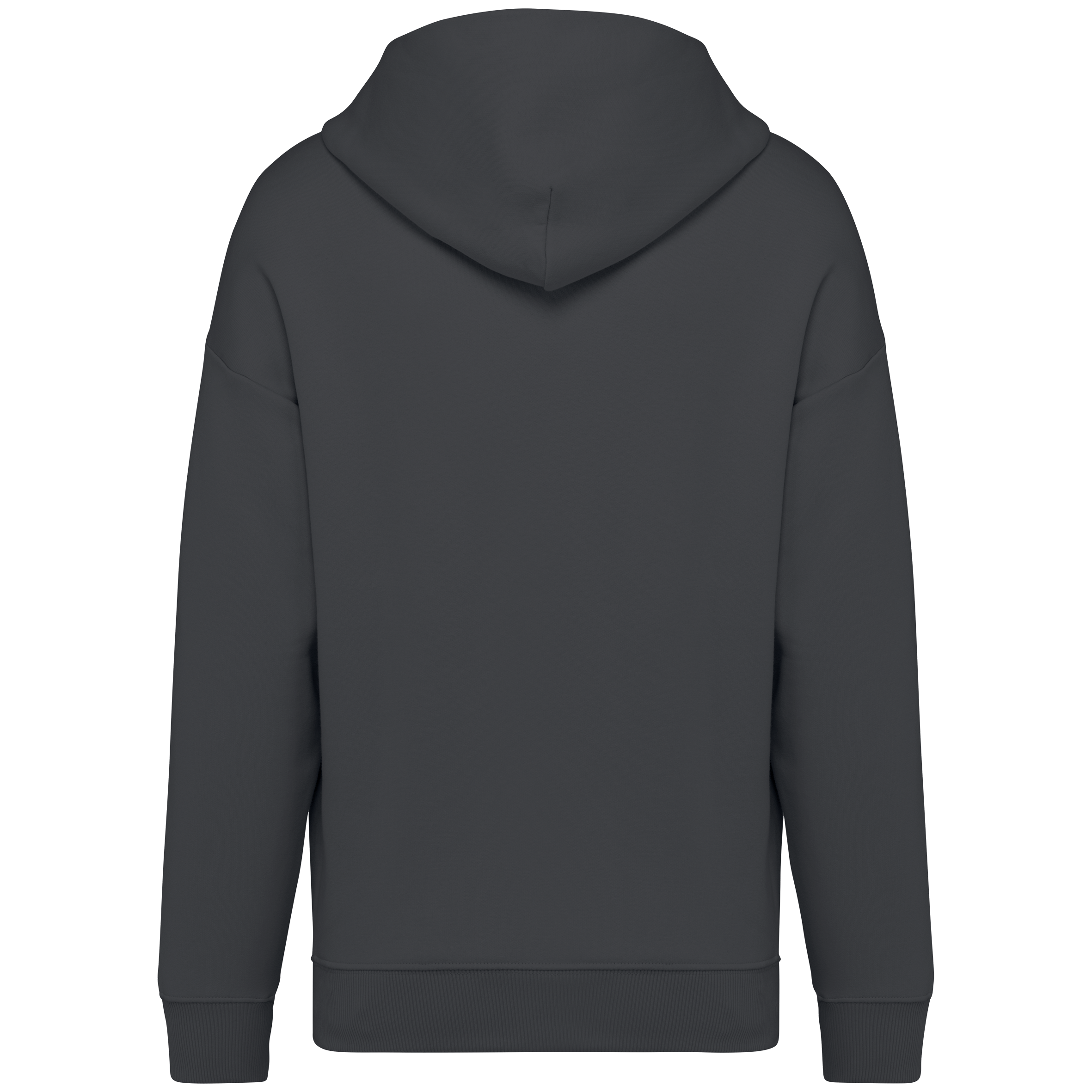 Sweat à capuche unisexe Oversized - 300gsm - NS408