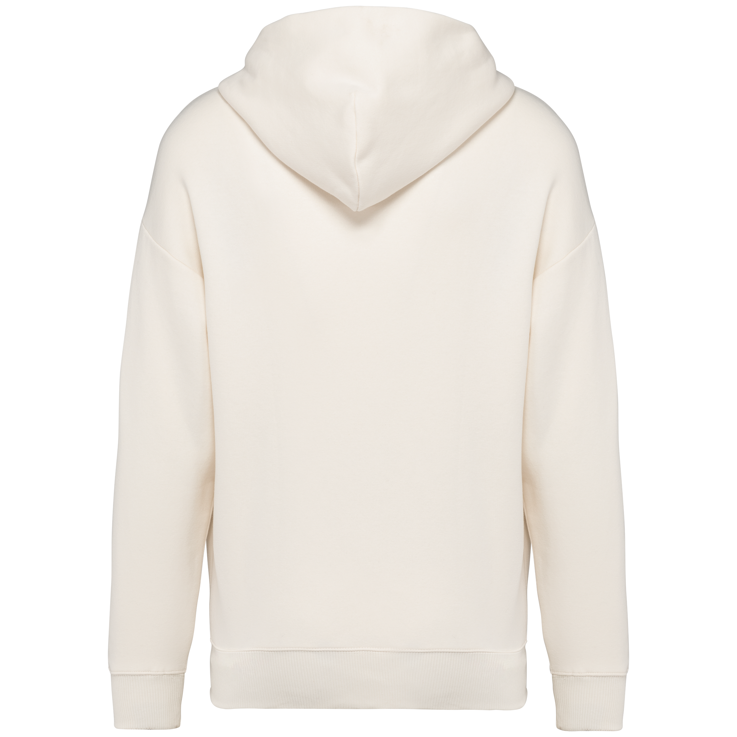 Sweat à capuche unisexe Oversized - 300gsm - NS408