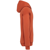 Sweat à capuche unisexe Oversized - 300gsm - NS408