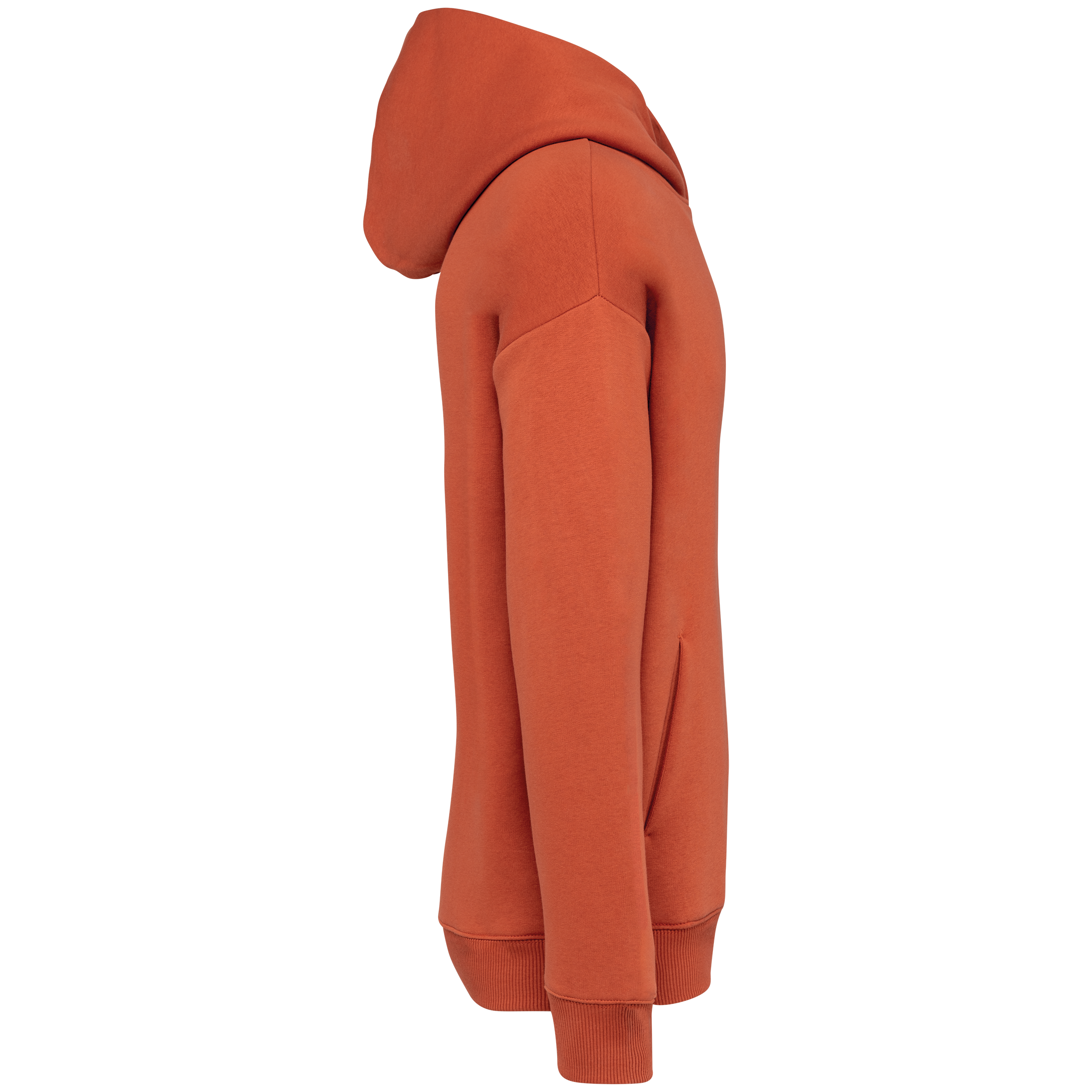 Sweat à capuche unisexe Oversized - 300gsm - NS408