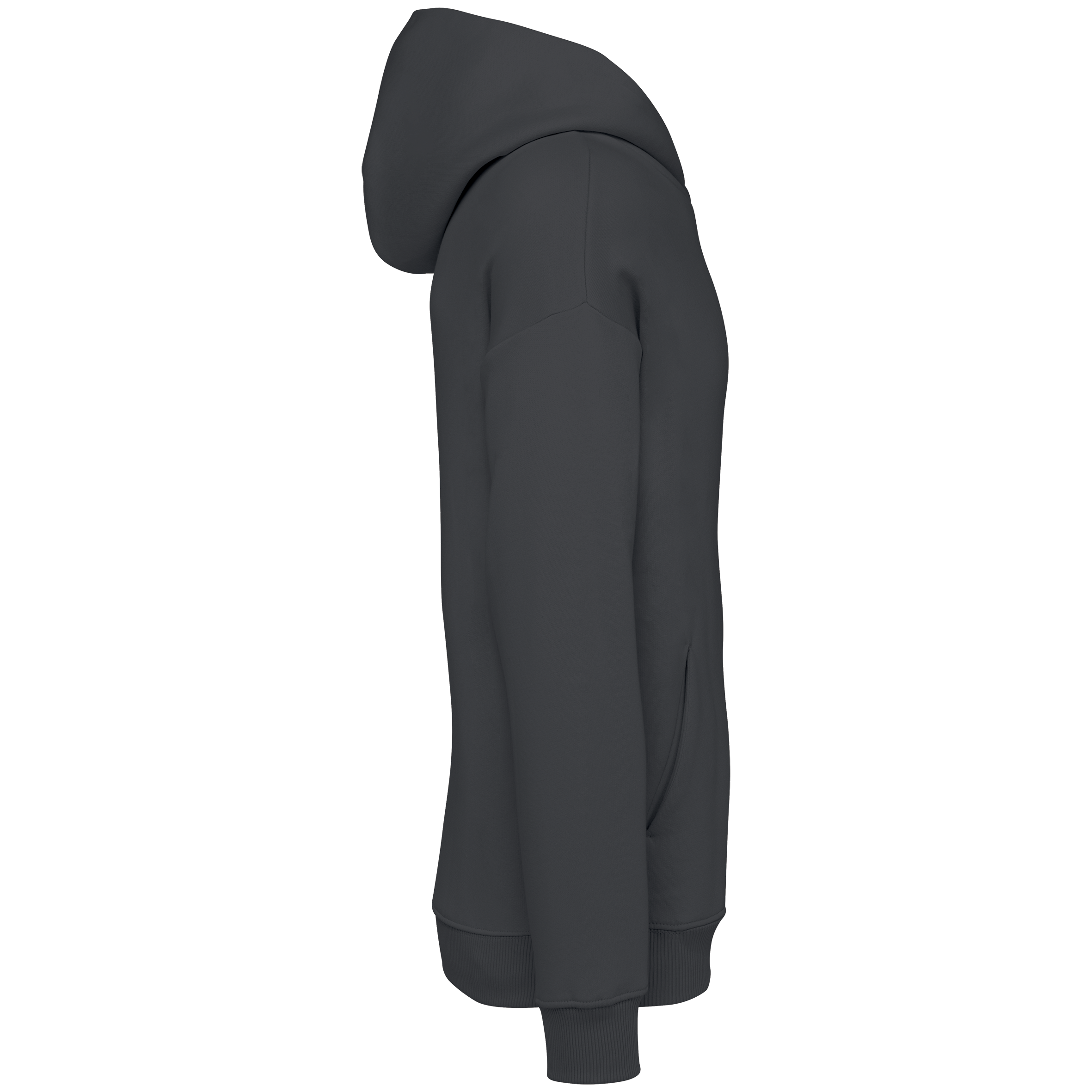 Sweat à capuche unisexe Oversized - 300gsm - NS408