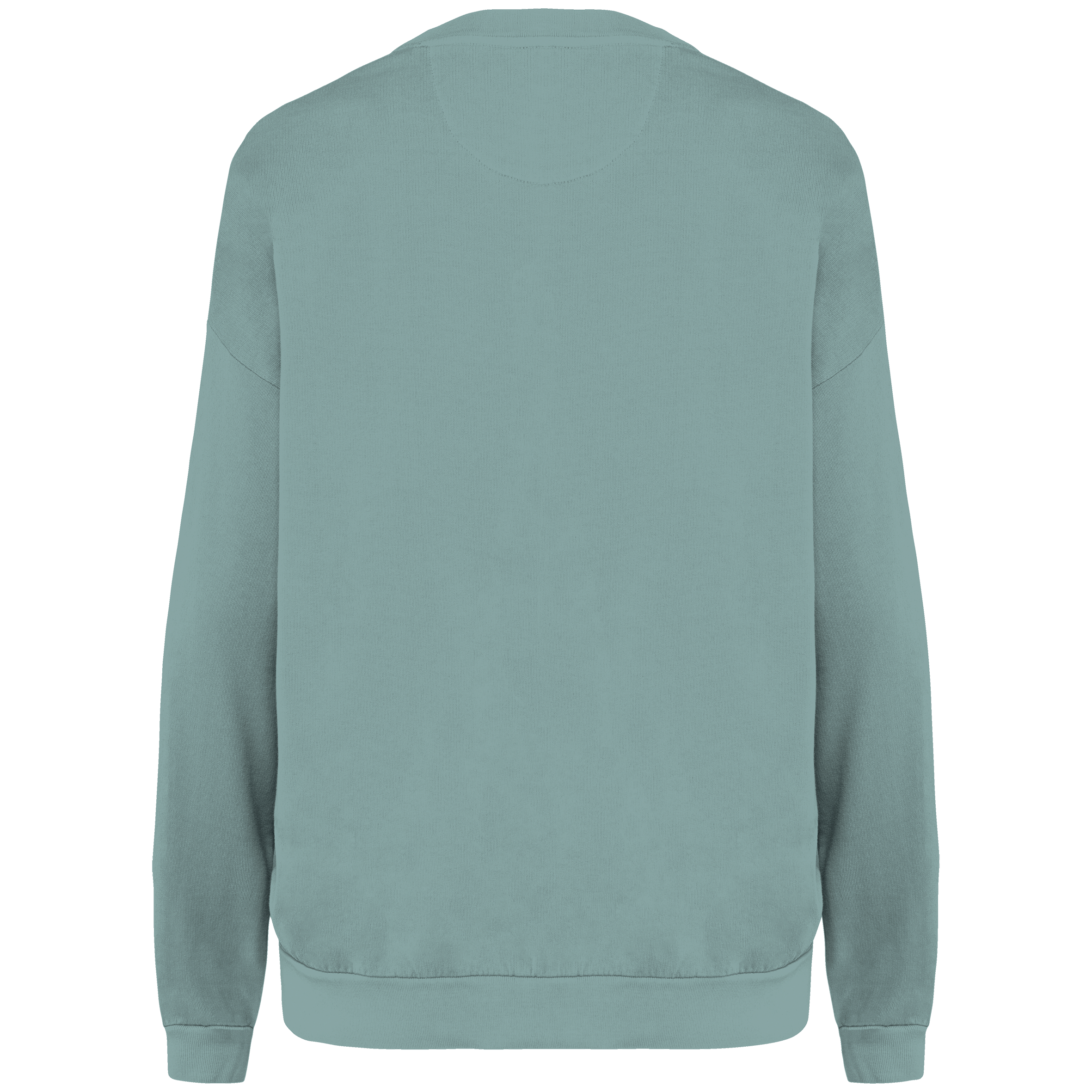 Eco Oversized French Terry Sweatshirt NS415 | Organic