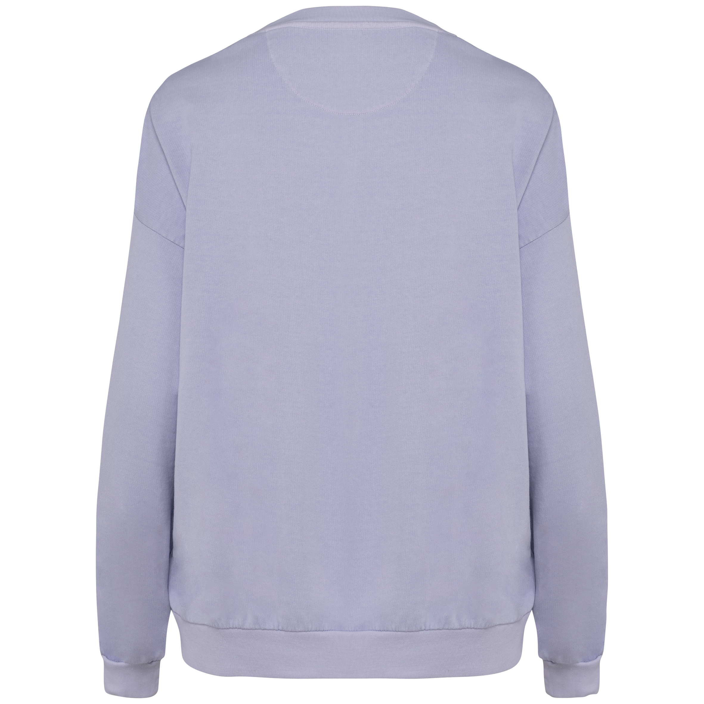 Eco Oversized French Terry Sweatshirt NS415 | Organic