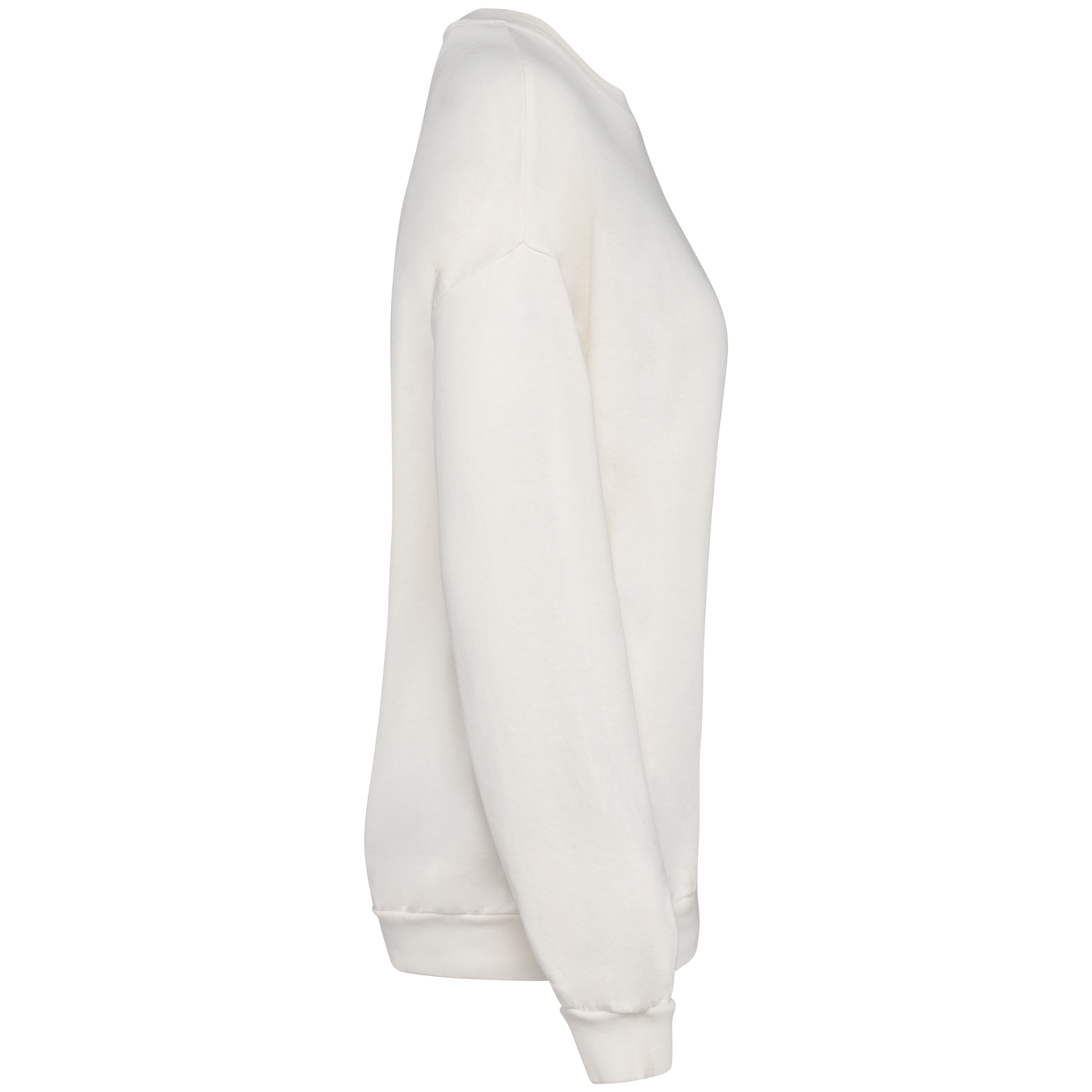 Eco Oversized French Terry Sweatshirt NS415 | Organic