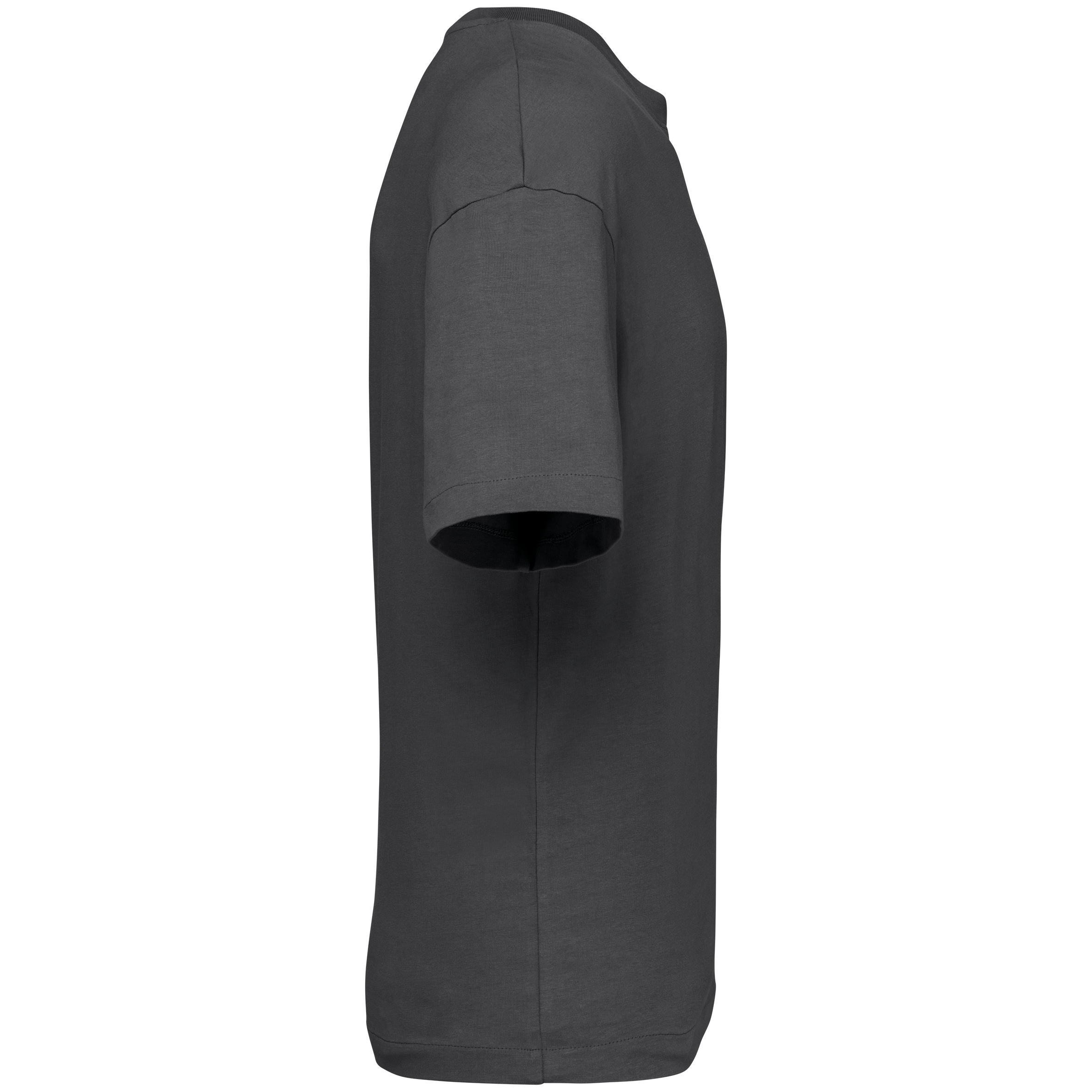 Men's Organic Cotton Oversized T-shirt - 220gr - NS332