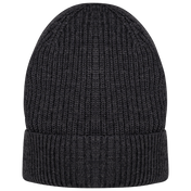 Native Spirit NS015 - Eco-friendly Unisex Merino Wool Beanie