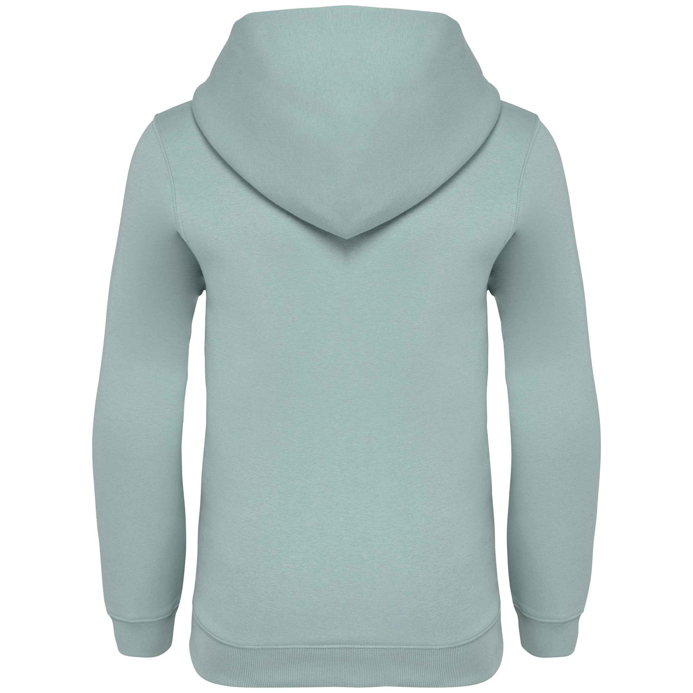 Hoodie Milieuvriendelijke Kinderen Sweater - 350gsm - NS404