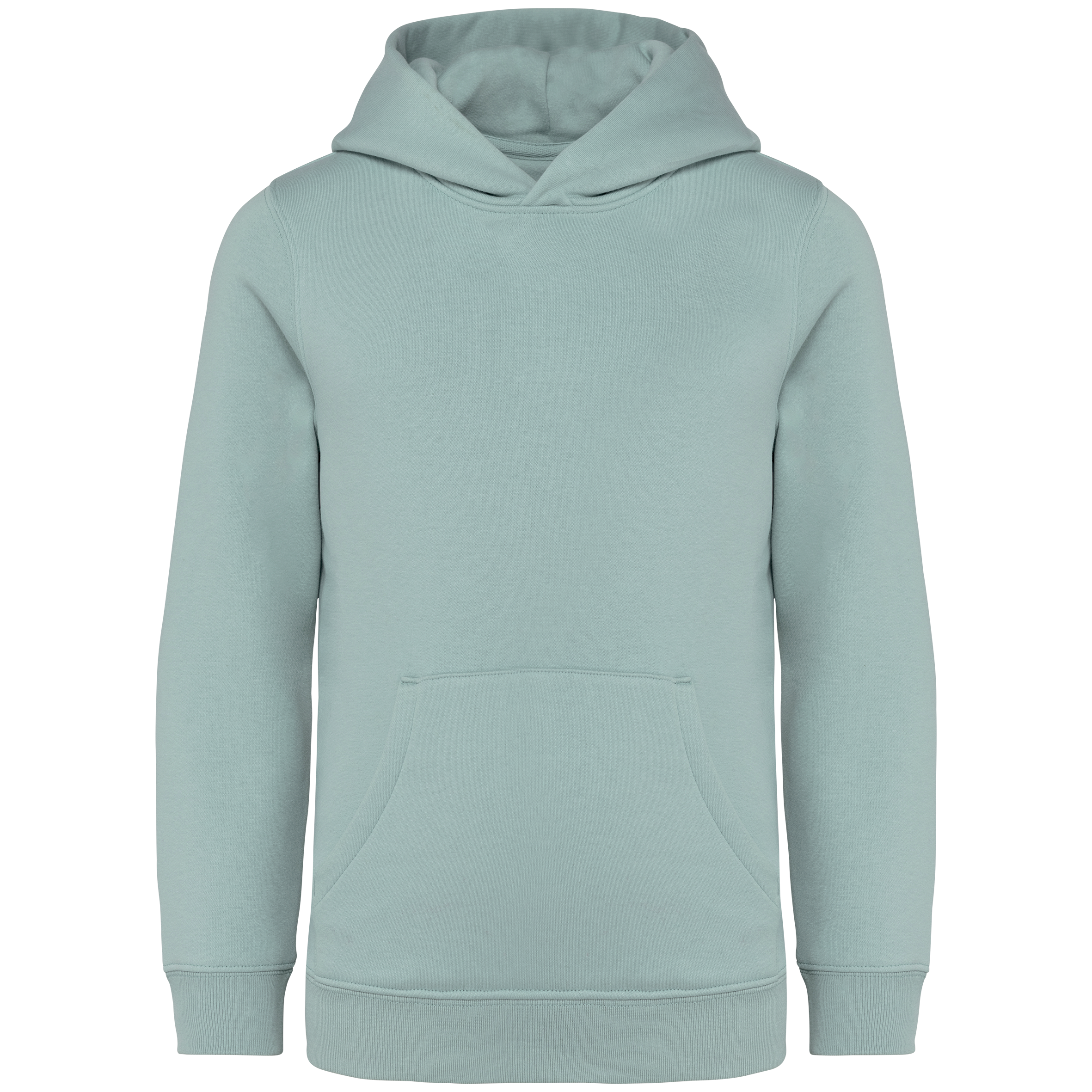 Hoodie Milieuvriendelijke Kinderen Sweater - 350gsm - NS404