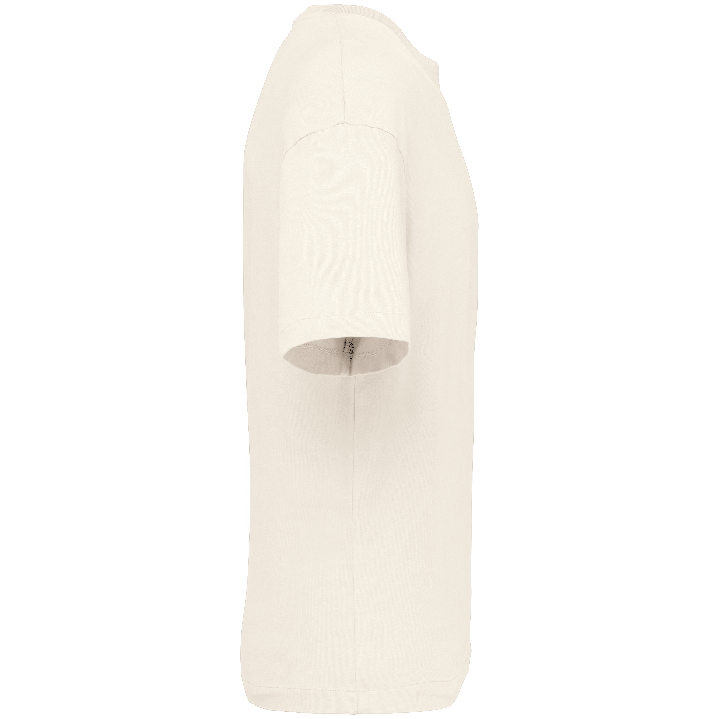 Men's Organic Cotton Oversized T-shirt - 220gr - NS332