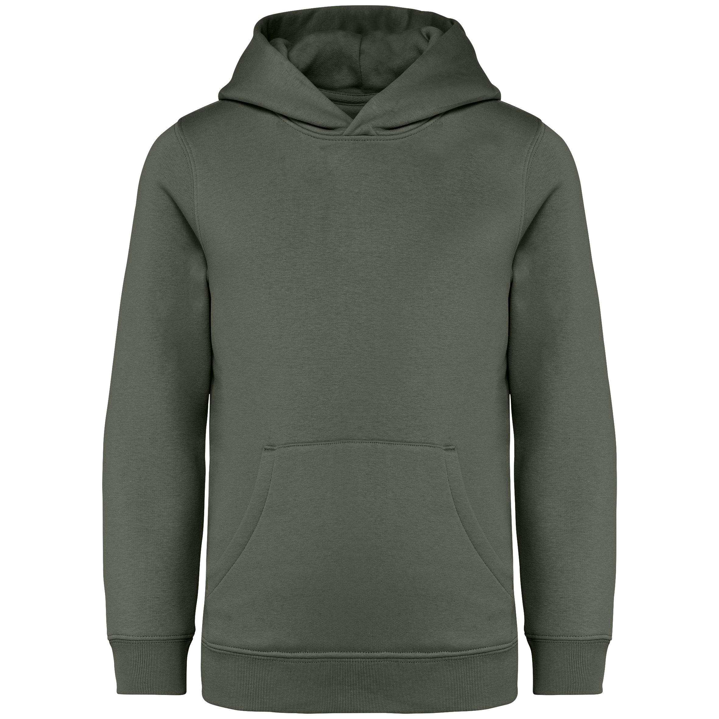 Hoodie Milieuvriendelijke Kinderen Sweater - 350gsm - NS404