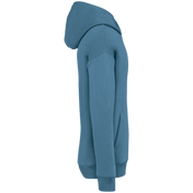 Sweat à capuche unisexe Oversized - 300gsm - NS408