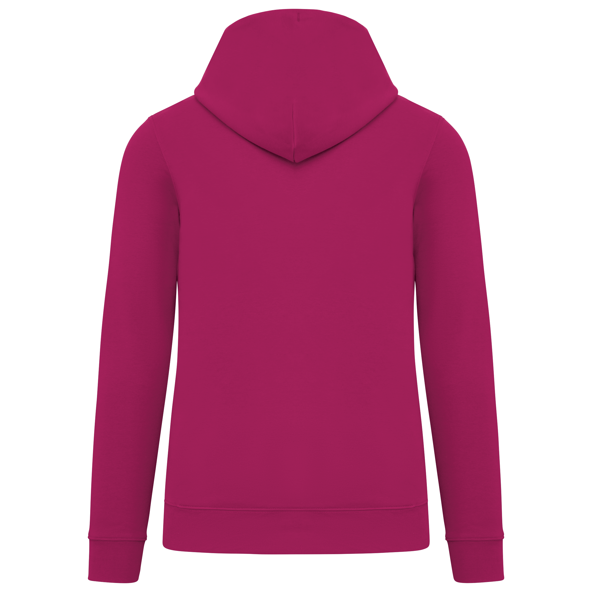 Pullover aus Bio-Baumwolle - Unisex Kapuzenpullover 350 g - NS401