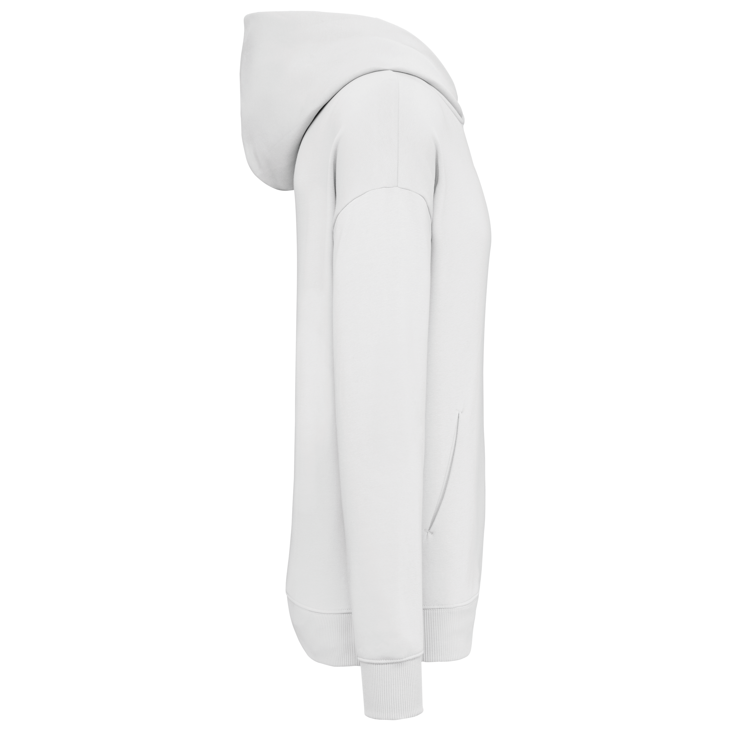 Sweat à capuche unisexe Oversized - 300gsm - NS408