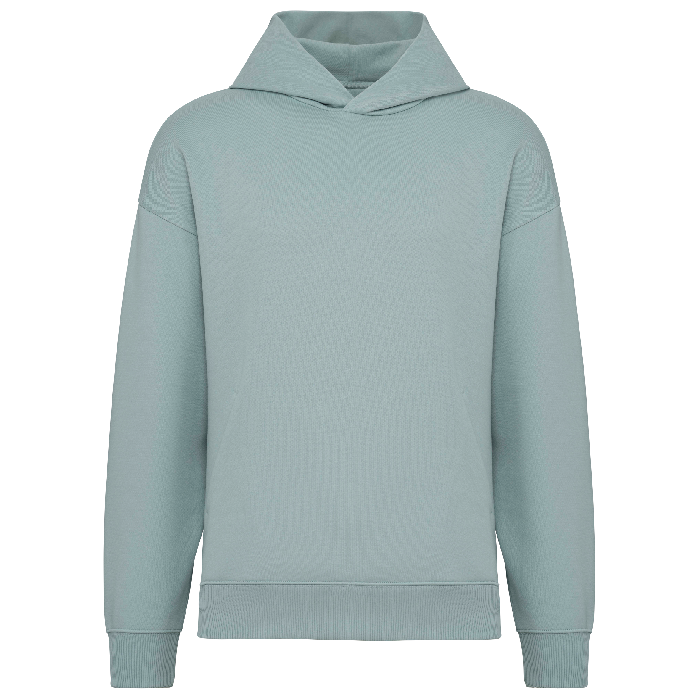 Sweat à capuche unisexe Oversized - 300gsm - NS408