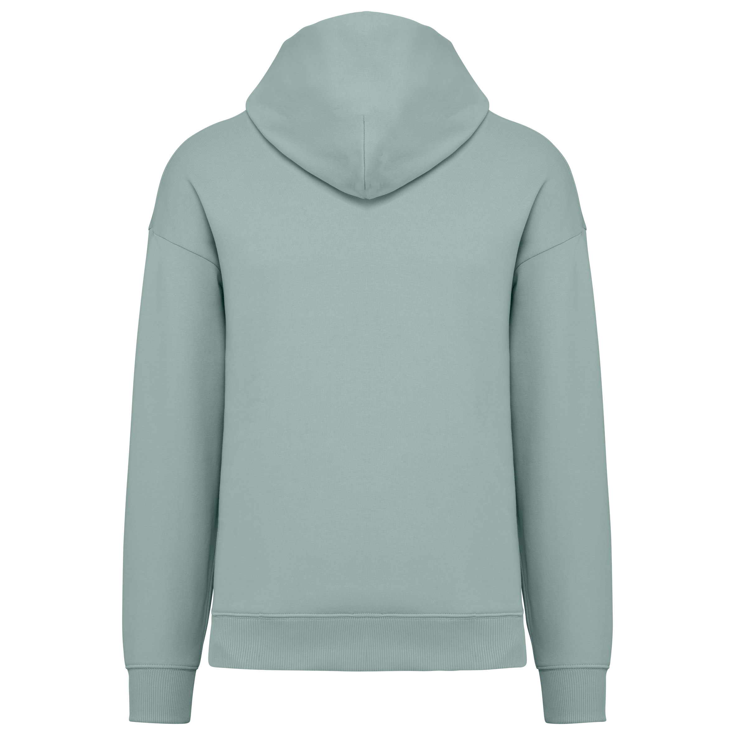 Sweat à capuche unisexe Oversized - 300gsm - NS408