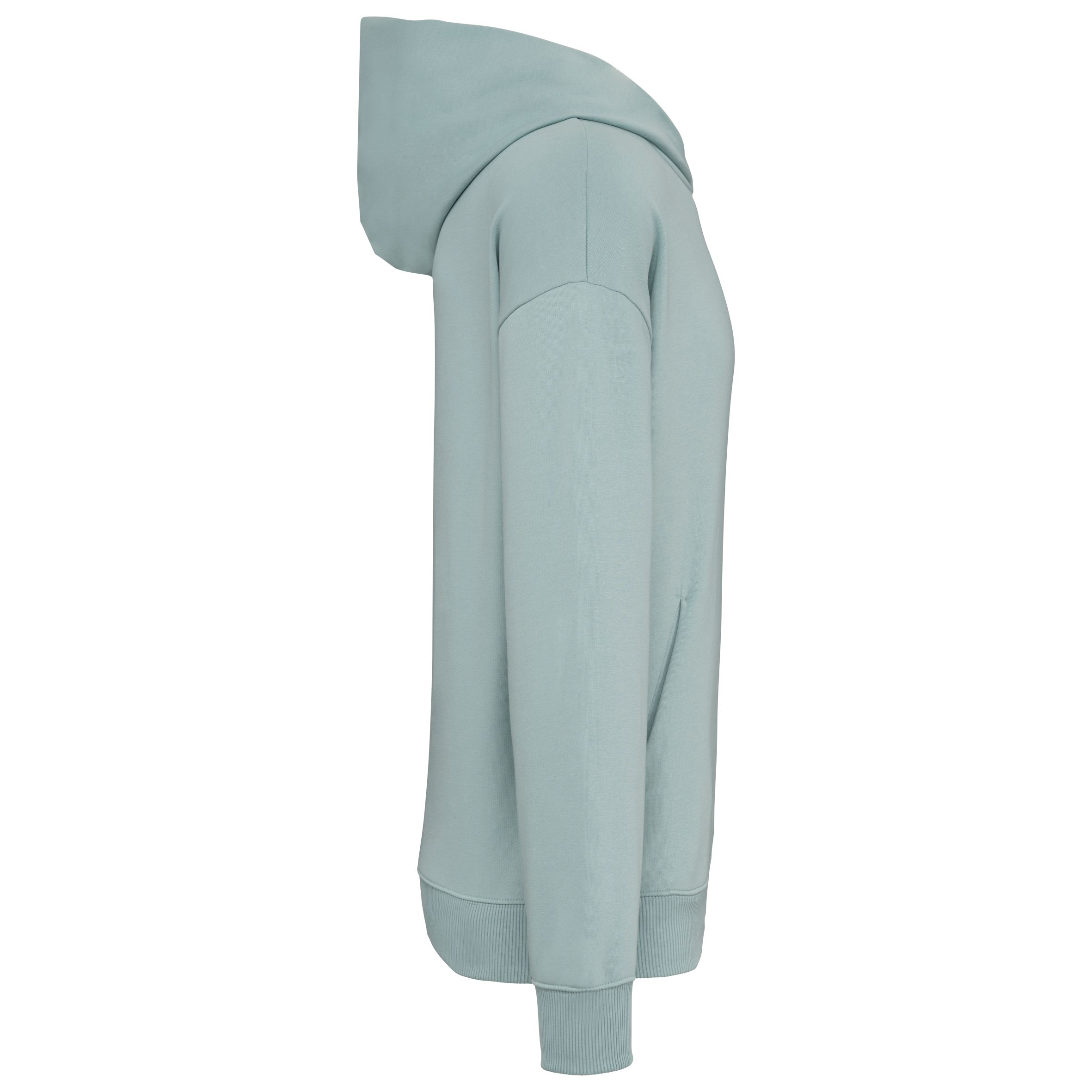 Sweat à capuche unisexe Oversized - 300gsm - NS408