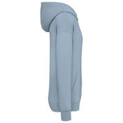 Sweat à capuche unisexe Oversized - 300gsm - NS408