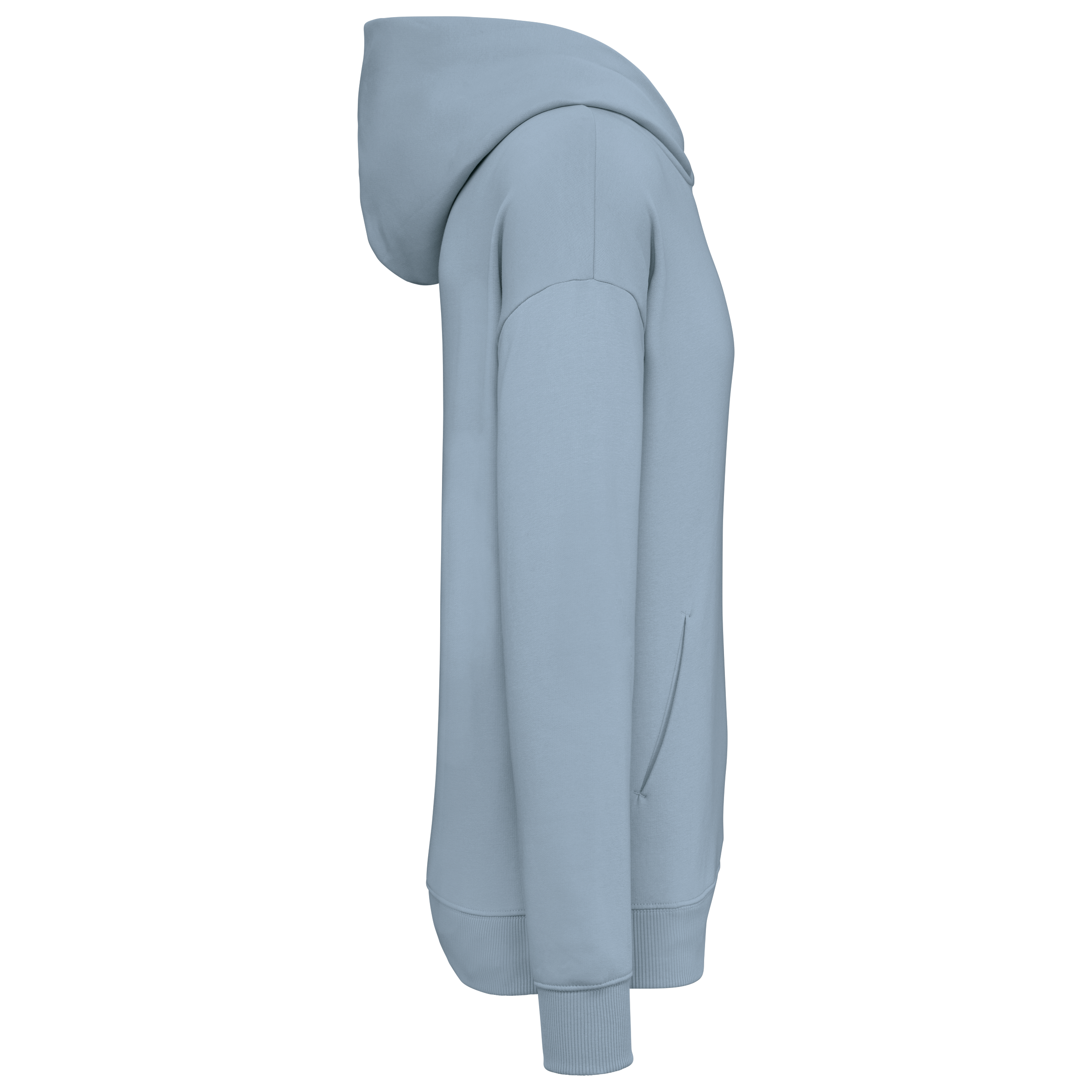 Sweat à capuche unisexe Oversized - 300gsm - NS408