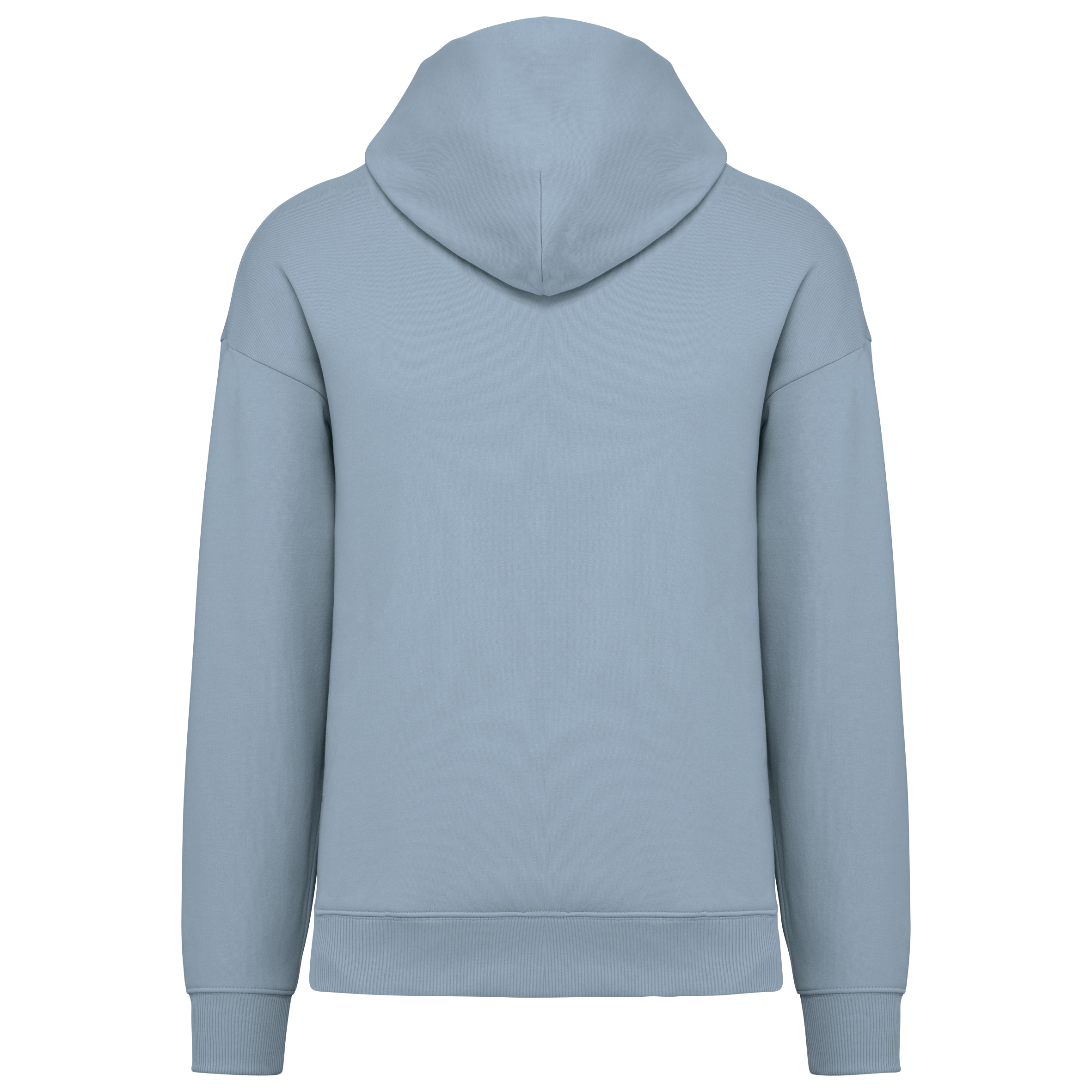 Sweat à capuche unisexe Oversized - 300gsm - NS408