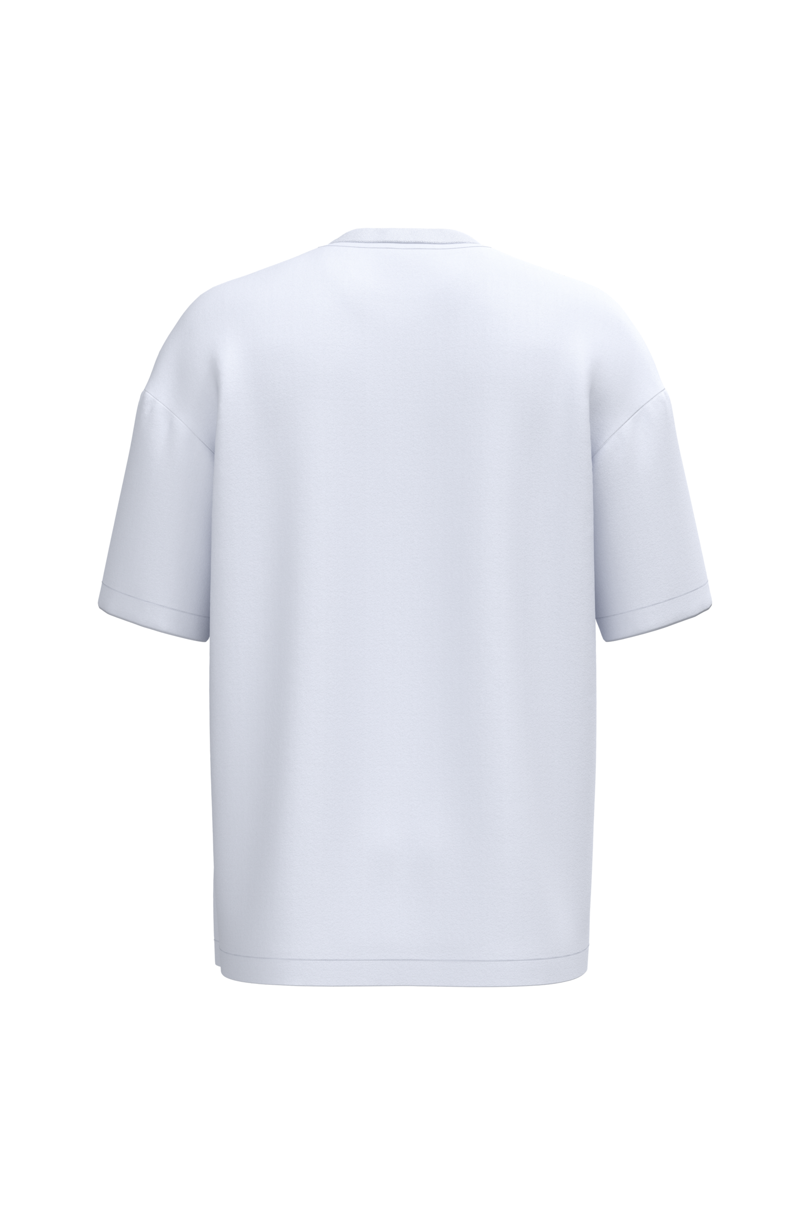 Men's Oversized Organic Cotton T-Shirt NS332 | Organic Blank
