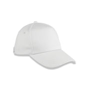 5-Panel Cap in Organic Cotton with Curved Peak | RC096X